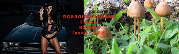 хмурый Армянск