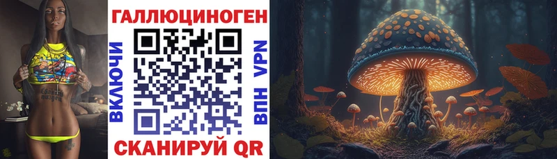 kraken tor  Киров  Галлюциногенные грибы GOLDEN TEACHER  хочу  